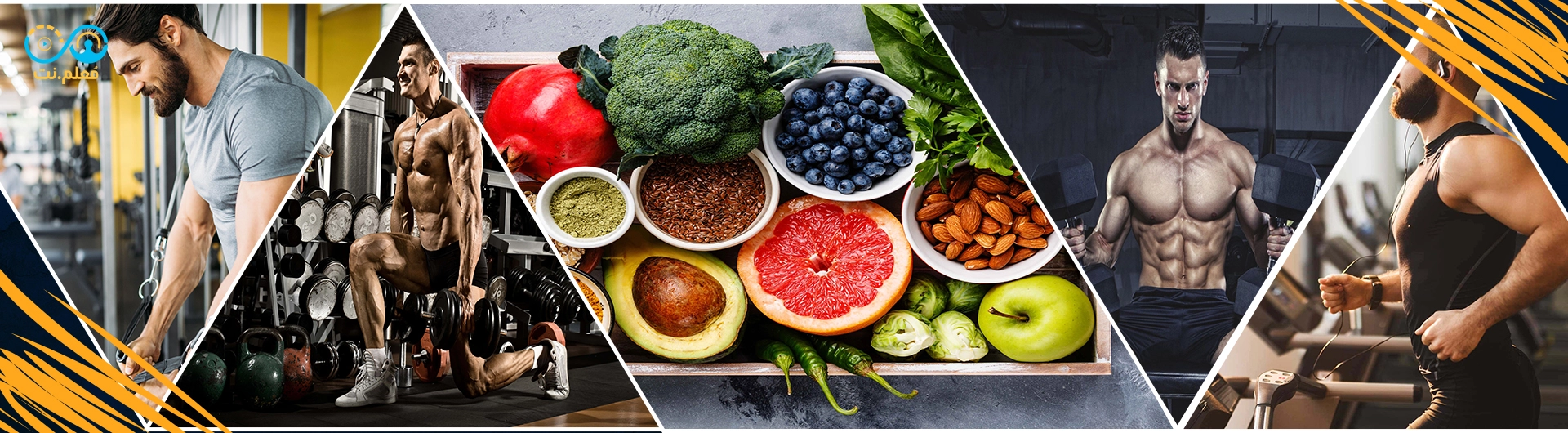 Workouts and Basics of Nutrition